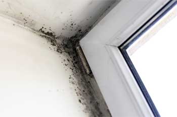 ARC Insulation - General Contractor in Romeoville
