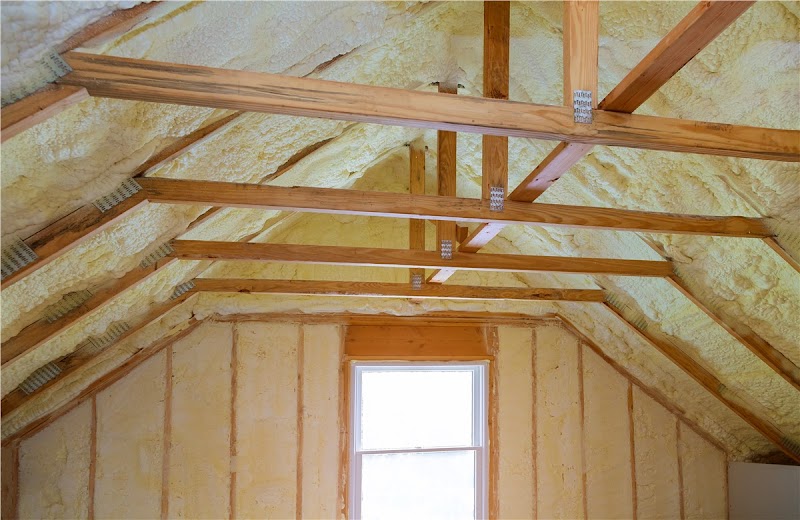 SF Attic cleaning and insulation pros