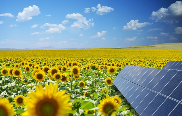 Tampa Bay Solar - Solar in Tampa