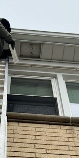 Thermo Insulation LLC
